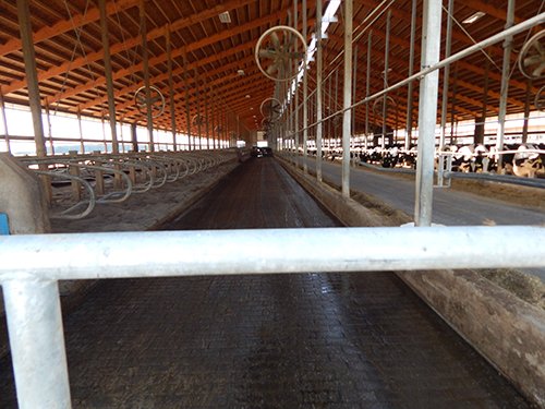 Property photo 34 - *** Accepted Offer. Auction Cancelled *** - COMPLETE DAIRY DISPERSAL AUCTION - 934+/- ACRES IN 11 TRACTS IN PAULDING & VAN WERT COUNTIES, OHIO