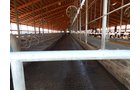 Property photo 34 - *** Accepted Offer. Auction Cancelled *** - COMPLETE DAIRY DISPERSAL AUCTION - 934+/- ACRES IN 11 TRACTS IN PAULDING & VAN WERT COUNTIES, OHIO