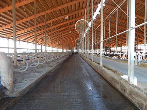 Property photo 27 - *** Accepted Offer. Auction Cancelled *** - COMPLETE DAIRY DISPERSAL AUCTION - 934+/- ACRES IN 11 TRACTS IN PAULDING & VAN WERT COUNTIES, OHIO