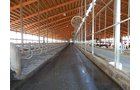 Property photo 27 - *** Accepted Offer. Auction Cancelled *** - COMPLETE DAIRY DISPERSAL AUCTION - 934+/- ACRES IN 11 TRACTS IN PAULDING & VAN WERT COUNTIES, OHIO