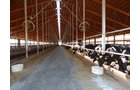 Property photo 35 - *** Accepted Offer. Auction Cancelled *** - COMPLETE DAIRY DISPERSAL AUCTION - 934+/- ACRES IN 11 TRACTS IN PAULDING & VAN WERT COUNTIES, OHIO