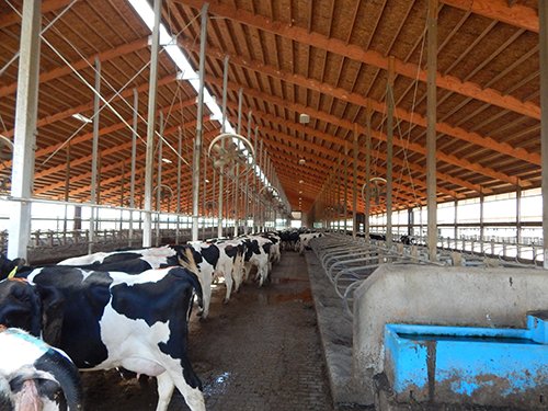Property photo 149 - *** Accepted Offer. Auction Cancelled *** - COMPLETE DAIRY DISPERSAL AUCTION - 934+/- ACRES IN 11 TRACTS IN PAULDING & VAN WERT COUNTIES, OHIO