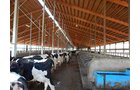 Property photo 149 - *** Accepted Offer. Auction Cancelled *** - COMPLETE DAIRY DISPERSAL AUCTION - 934+/- ACRES IN 11 TRACTS IN PAULDING & VAN WERT COUNTIES, OHIO