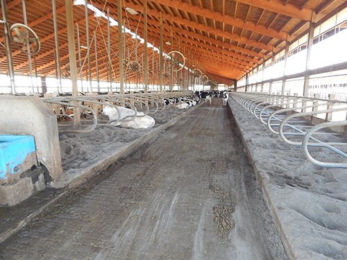 Property photo 32 - *** Accepted Offer. Auction Cancelled *** - COMPLETE DAIRY DISPERSAL AUCTION - 934+/- ACRES IN 11 TRACTS IN PAULDING & VAN WERT COUNTIES, OHIO