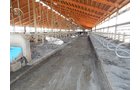 Property photo 32 - *** Accepted Offer. Auction Cancelled *** - COMPLETE DAIRY DISPERSAL AUCTION - 934+/- ACRES IN 11 TRACTS IN PAULDING & VAN WERT COUNTIES, OHIO