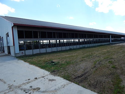 Property photo 38 - *** Accepted Offer. Auction Cancelled *** - COMPLETE DAIRY DISPERSAL AUCTION - 934+/- ACRES IN 11 TRACTS IN PAULDING & VAN WERT COUNTIES, OHIO