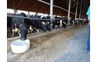 Property photo 176 - *** Accepted Offer. Auction Cancelled *** - COMPLETE DAIRY DISPERSAL AUCTION - 934+/- ACRES IN 11 TRACTS IN PAULDING & VAN WERT COUNTIES, OHIO