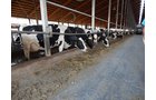 Property photo 163 - *** Accepted Offer. Auction Cancelled *** - COMPLETE DAIRY DISPERSAL AUCTION - 934+/- ACRES IN 11 TRACTS IN PAULDING & VAN WERT COUNTIES, OHIO