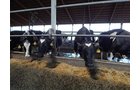 Property photo 154 - *** Accepted Offer. Auction Cancelled *** - COMPLETE DAIRY DISPERSAL AUCTION - 934+/- ACRES IN 11 TRACTS IN PAULDING & VAN WERT COUNTIES, OHIO