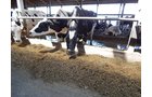 Property photo 180 - *** Accepted Offer. Auction Cancelled *** - COMPLETE DAIRY DISPERSAL AUCTION - 934+/- ACRES IN 11 TRACTS IN PAULDING & VAN WERT COUNTIES, OHIO