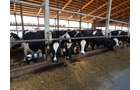 Property photo 160 - *** Accepted Offer. Auction Cancelled *** - COMPLETE DAIRY DISPERSAL AUCTION - 934+/- ACRES IN 11 TRACTS IN PAULDING & VAN WERT COUNTIES, OHIO