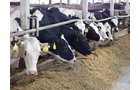 Property photo 183 - *** Accepted Offer. Auction Cancelled *** - COMPLETE DAIRY DISPERSAL AUCTION - 934+/- ACRES IN 11 TRACTS IN PAULDING & VAN WERT COUNTIES, OHIO