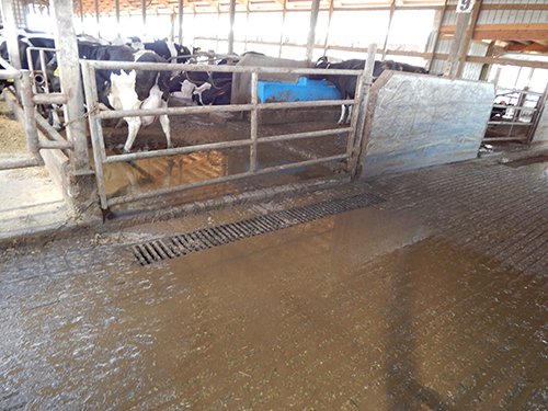 Property photo 139 - *** Accepted Offer. Auction Cancelled *** - COMPLETE DAIRY DISPERSAL AUCTION - 934+/- ACRES IN 11 TRACTS IN PAULDING & VAN WERT COUNTIES, OHIO