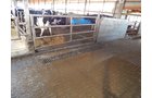 Property photo 139 - *** Accepted Offer. Auction Cancelled *** - COMPLETE DAIRY DISPERSAL AUCTION - 934+/- ACRES IN 11 TRACTS IN PAULDING & VAN WERT COUNTIES, OHIO