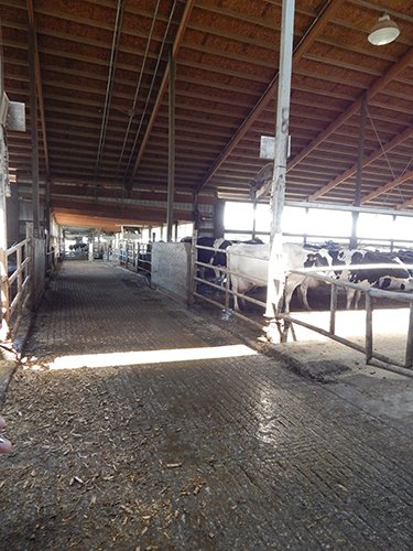 Property photo 193 - *** Accepted Offer. Auction Cancelled *** - COMPLETE DAIRY DISPERSAL AUCTION - 934+/- ACRES IN 11 TRACTS IN PAULDING & VAN WERT COUNTIES, OHIO