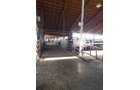 Property photo 193 - *** Accepted Offer. Auction Cancelled *** - COMPLETE DAIRY DISPERSAL AUCTION - 934+/- ACRES IN 11 TRACTS IN PAULDING & VAN WERT COUNTIES, OHIO