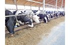 Property photo 161 - *** Accepted Offer. Auction Cancelled *** - COMPLETE DAIRY DISPERSAL AUCTION - 934+/- ACRES IN 11 TRACTS IN PAULDING & VAN WERT COUNTIES, OHIO
