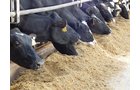 Property photo 164 - *** Accepted Offer. Auction Cancelled *** - COMPLETE DAIRY DISPERSAL AUCTION - 934+/- ACRES IN 11 TRACTS IN PAULDING & VAN WERT COUNTIES, OHIO