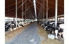 Property photo 168 - *** Accepted Offer. Auction Cancelled *** - COMPLETE DAIRY DISPERSAL AUCTION - 934+/- ACRES IN 11 TRACTS IN PAULDING & VAN WERT COUNTIES, OHIO