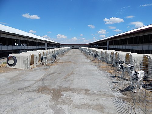 Property photo 174 - *** Accepted Offer. Auction Cancelled *** - COMPLETE DAIRY DISPERSAL AUCTION - 934+/- ACRES IN 11 TRACTS IN PAULDING & VAN WERT COUNTIES, OHIO