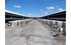 Property photo 174 - *** Accepted Offer. Auction Cancelled *** - COMPLETE DAIRY DISPERSAL AUCTION - 934+/- ACRES IN 11 TRACTS IN PAULDING & VAN WERT COUNTIES, OHIO