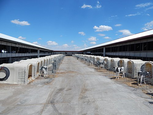 Property photo 173 - *** Accepted Offer. Auction Cancelled *** - COMPLETE DAIRY DISPERSAL AUCTION - 934+/- ACRES IN 11 TRACTS IN PAULDING & VAN WERT COUNTIES, OHIO