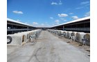 Property photo 173 - *** Accepted Offer. Auction Cancelled *** - COMPLETE DAIRY DISPERSAL AUCTION - 934+/- ACRES IN 11 TRACTS IN PAULDING & VAN WERT COUNTIES, OHIO