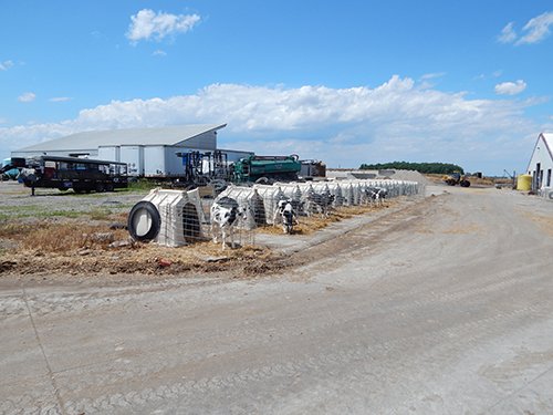 Property photo 153 - *** Accepted Offer. Auction Cancelled *** - COMPLETE DAIRY DISPERSAL AUCTION - 934+/- ACRES IN 11 TRACTS IN PAULDING & VAN WERT COUNTIES, OHIO