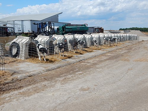 Property photo 140 - *** Accepted Offer. Auction Cancelled *** - COMPLETE DAIRY DISPERSAL AUCTION - 934+/- ACRES IN 11 TRACTS IN PAULDING & VAN WERT COUNTIES, OHIO