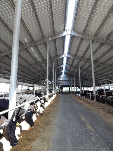 Property photo 191 - *** Accepted Offer. Auction Cancelled *** - COMPLETE DAIRY DISPERSAL AUCTION - 934+/- ACRES IN 11 TRACTS IN PAULDING & VAN WERT COUNTIES, OHIO