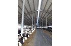 Property photo 191 - *** Accepted Offer. Auction Cancelled *** - COMPLETE DAIRY DISPERSAL AUCTION - 934+/- ACRES IN 11 TRACTS IN PAULDING & VAN WERT COUNTIES, OHIO