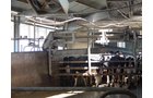 Property photo 181 - *** Accepted Offer. Auction Cancelled *** - COMPLETE DAIRY DISPERSAL AUCTION - 934+/- ACRES IN 11 TRACTS IN PAULDING & VAN WERT COUNTIES, OHIO