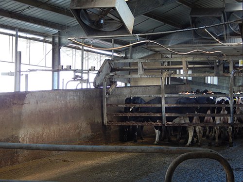 Property photo 172 - *** Accepted Offer. Auction Cancelled *** - COMPLETE DAIRY DISPERSAL AUCTION - 934+/- ACRES IN 11 TRACTS IN PAULDING & VAN WERT COUNTIES, OHIO