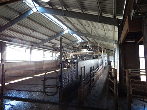 Property photo 37 - *** Accepted Offer. Auction Cancelled *** - COMPLETE DAIRY DISPERSAL AUCTION - 934+/- ACRES IN 11 TRACTS IN PAULDING & VAN WERT COUNTIES, OHIO