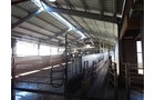 Property photo 37 - *** Accepted Offer. Auction Cancelled *** - COMPLETE DAIRY DISPERSAL AUCTION - 934+/- ACRES IN 11 TRACTS IN PAULDING & VAN WERT COUNTIES, OHIO