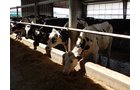 Property photo 159 - *** Accepted Offer. Auction Cancelled *** - COMPLETE DAIRY DISPERSAL AUCTION - 934+/- ACRES IN 11 TRACTS IN PAULDING & VAN WERT COUNTIES, OHIO
