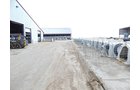 Property photo 29 - *** Accepted Offer. Auction Cancelled *** - COMPLETE DAIRY DISPERSAL AUCTION - 934+/- ACRES IN 11 TRACTS IN PAULDING & VAN WERT COUNTIES, OHIO