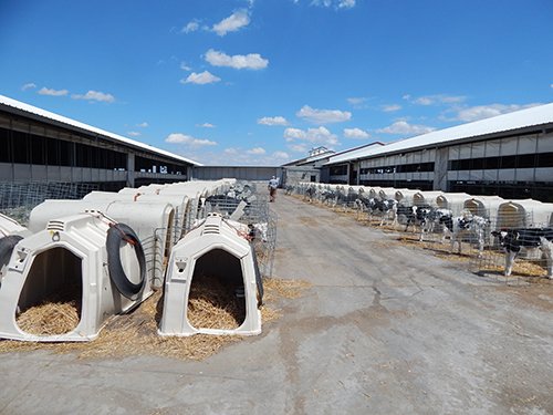 Property photo 135 - *** Accepted Offer. Auction Cancelled *** - COMPLETE DAIRY DISPERSAL AUCTION - 934+/- ACRES IN 11 TRACTS IN PAULDING & VAN WERT COUNTIES, OHIO