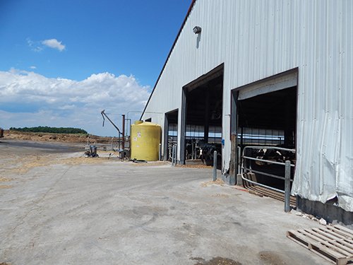 Property photo 33 - *** Accepted Offer. Auction Cancelled *** - COMPLETE DAIRY DISPERSAL AUCTION - 934+/- ACRES IN 11 TRACTS IN PAULDING & VAN WERT COUNTIES, OHIO