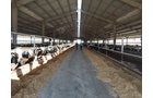 Property photo 175 - *** Accepted Offer. Auction Cancelled *** - COMPLETE DAIRY DISPERSAL AUCTION - 934+/- ACRES IN 11 TRACTS IN PAULDING & VAN WERT COUNTIES, OHIO
