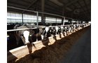 Property photo 184 - *** Accepted Offer. Auction Cancelled *** - COMPLETE DAIRY DISPERSAL AUCTION - 934+/- ACRES IN 11 TRACTS IN PAULDING & VAN WERT COUNTIES, OHIO