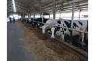 Property photo 169 - *** Accepted Offer. Auction Cancelled *** - COMPLETE DAIRY DISPERSAL AUCTION - 934+/- ACRES IN 11 TRACTS IN PAULDING & VAN WERT COUNTIES, OHIO