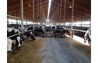 Property photo 151 - *** Accepted Offer. Auction Cancelled *** - COMPLETE DAIRY DISPERSAL AUCTION - 934+/- ACRES IN 11 TRACTS IN PAULDING & VAN WERT COUNTIES, OHIO