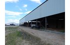 Property photo 15 - *** Accepted Offer. Auction Cancelled *** - COMPLETE DAIRY DISPERSAL AUCTION - 934+/- ACRES IN 11 TRACTS IN PAULDING & VAN WERT COUNTIES, OHIO