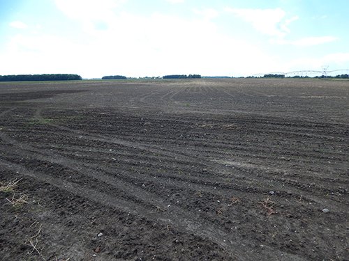 Property photo 79 - *** Accepted Offer. Auction Cancelled *** - COMPLETE DAIRY DISPERSAL AUCTION - 934+/- ACRES IN 11 TRACTS IN PAULDING & VAN WERT COUNTIES, OHIO