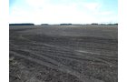 Property photo 79 - *** Accepted Offer. Auction Cancelled *** - COMPLETE DAIRY DISPERSAL AUCTION - 934+/- ACRES IN 11 TRACTS IN PAULDING & VAN WERT COUNTIES, OHIO