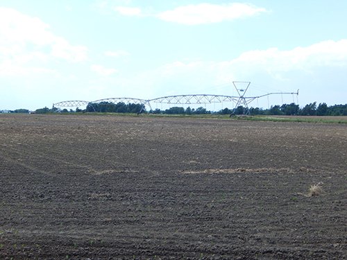 Property photo 102 - *** Accepted Offer. Auction Cancelled *** - COMPLETE DAIRY DISPERSAL AUCTION - 934+/- ACRES IN 11 TRACTS IN PAULDING & VAN WERT COUNTIES, OHIO