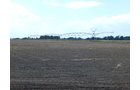 Property photo 102 - *** Accepted Offer. Auction Cancelled *** - COMPLETE DAIRY DISPERSAL AUCTION - 934+/- ACRES IN 11 TRACTS IN PAULDING & VAN WERT COUNTIES, OHIO