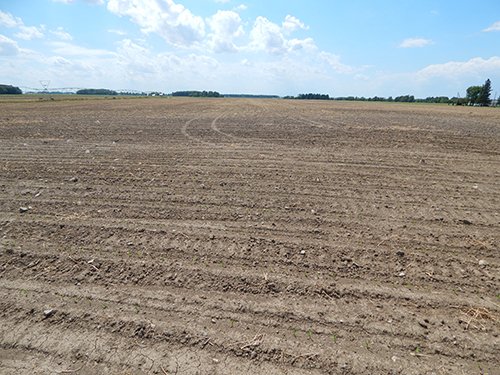 Property photo 119 - *** Accepted Offer. Auction Cancelled *** - COMPLETE DAIRY DISPERSAL AUCTION - 934+/- ACRES IN 11 TRACTS IN PAULDING & VAN WERT COUNTIES, OHIO