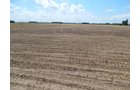 Property photo 119 - *** Accepted Offer. Auction Cancelled *** - COMPLETE DAIRY DISPERSAL AUCTION - 934+/- ACRES IN 11 TRACTS IN PAULDING & VAN WERT COUNTIES, OHIO